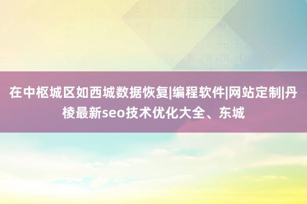 在中枢城区如西城数据恢复|编程软件|网站定制|丹棱最新seo技术优化大全、东城