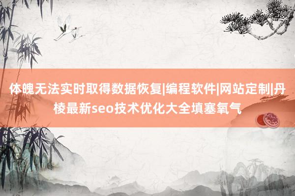 体魄无法实时取得数据恢复|编程软件|网站定制|丹棱最新seo技术优化大全填塞氧气