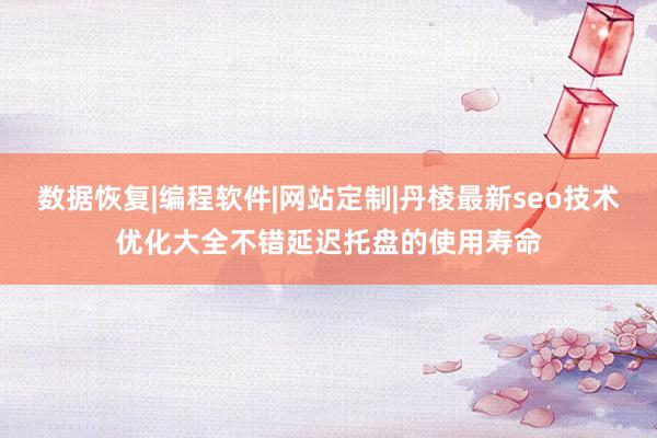 数据恢复|编程软件|网站定制|丹棱最新seo技术优化大全不错延迟托盘的使用寿命