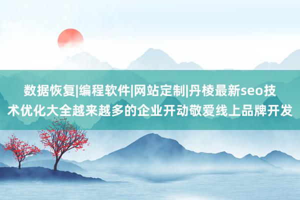 数据恢复|编程软件|网站定制|丹棱最新seo技术优化大全越来越多的企业开动敬爱线上品牌开发