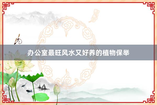 办公室最旺风水又好养的植物保举